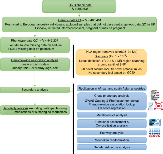 Gwas for urinary sodium and potassium excretion highlights pathways shared with cardiovascular traits