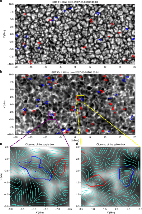 Evidence Of Ubiquitous Alfvén Pulses Transporting Energy