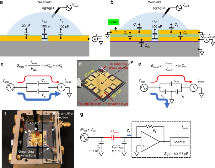 Measurement of the combined quantum and electrochemical capacitance of a carbon nanotube | Nature Communications