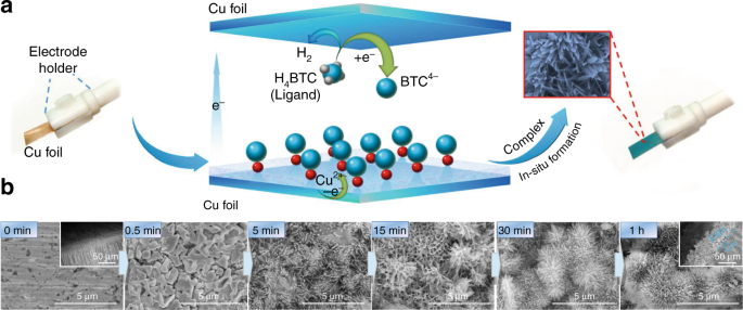 Carbon Dioxide Electroreduction To C 2 Products Over Copper Cuprous Oxide Derived From Electrosynthesized Copper Complex Nature Communications