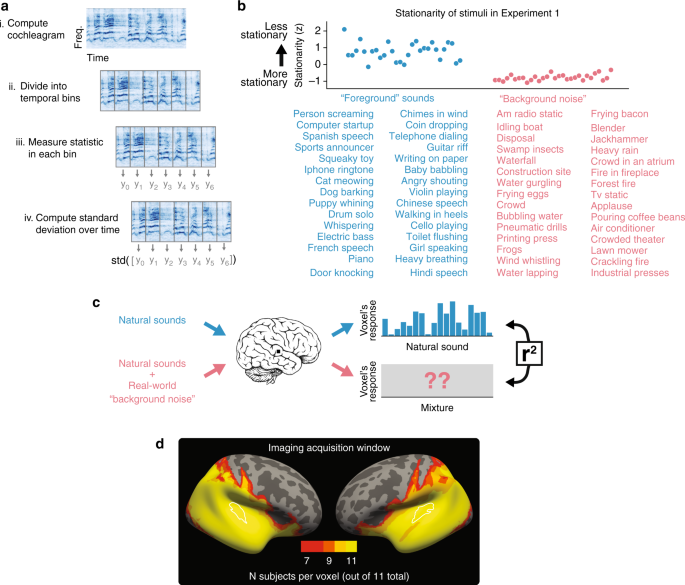 Invariance to background noise as a signature of non-primary auditory  cortex | Nature Communications
