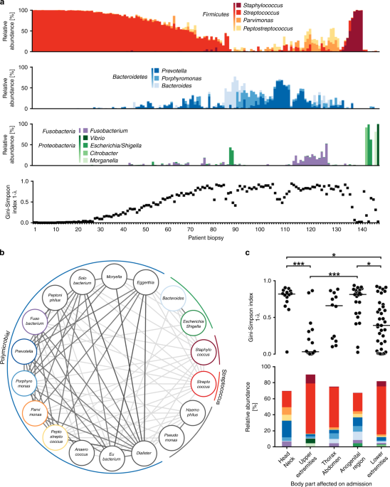 Molecular profiling of tissue biopsies reveals unique signatures associated with streptococcal necrotizing soft tissue infections