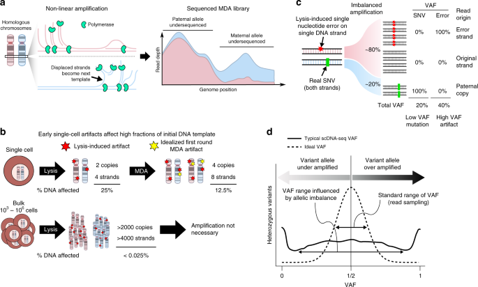 Identification Of Somatic Mutations In Single Cell Dna Seq