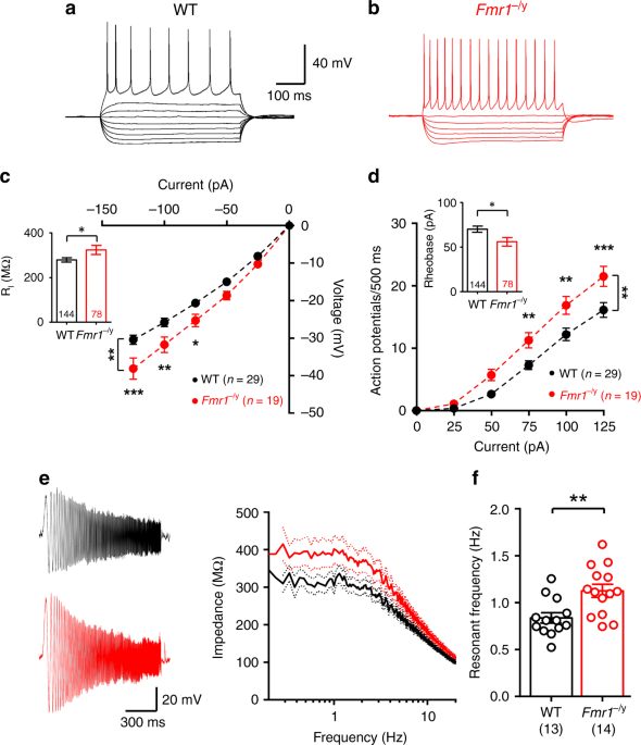 FMRP(1–297)-tat restores ion channel and synaptic function in a