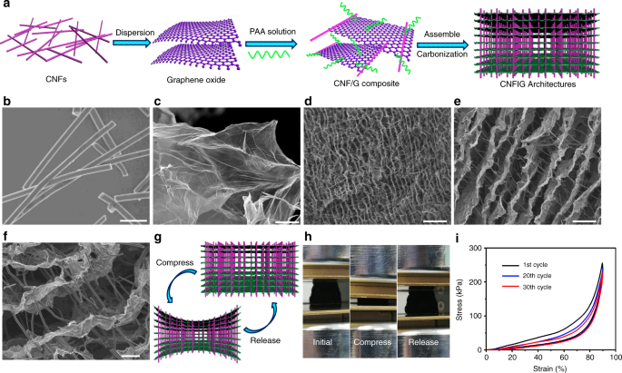 Template for Success: Shaping Hard Carbon Electrodes for Next-Generation  Batteries