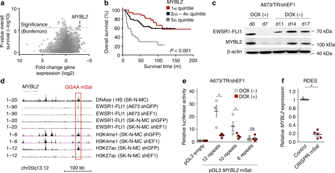 Cooperation Of Cancer Drivers With Regulatory Germline Variants Shapes Clinical Outcomes Nature Communications