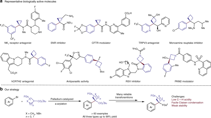 Palladium-catalyzed α-arylation for the addition of small rings to aromatic  compounds | Nature Communications