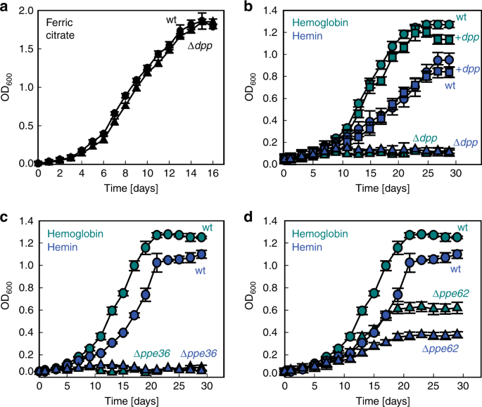 Heme And Hemoglobin Utilization By Mycobacterium Tuberculosis Nature Communications