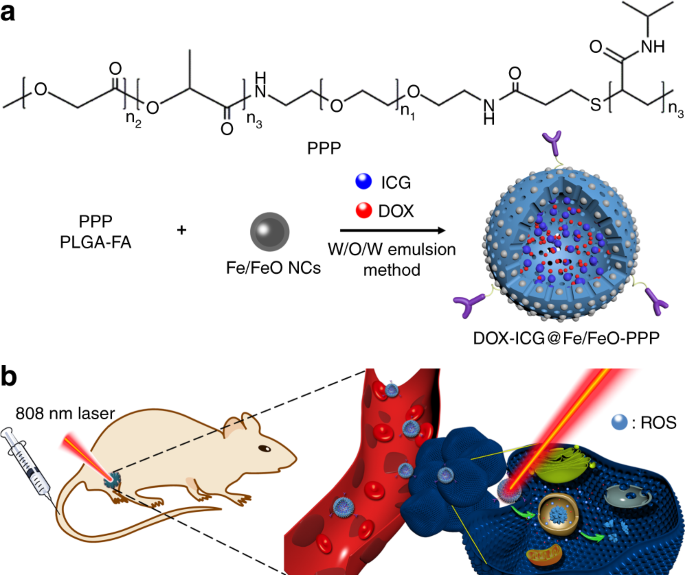 Near-infrared light and tumor microenvironment dual responsive  size-switchable nanocapsules for multimodal tumor theranostics | Nature  Communications