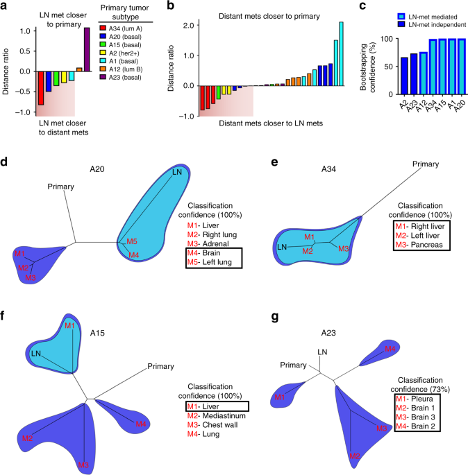 An inverse heat transfer approach for patient-specific breast