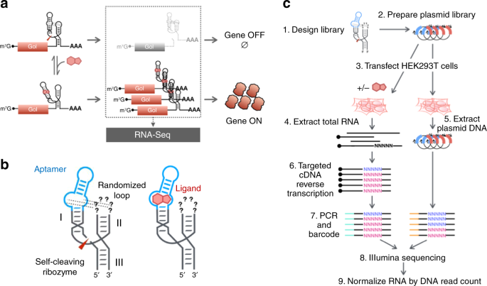 Massively Parallel Rna Device Engineering In Mammalian Cells With Rna Seq Nature Communications