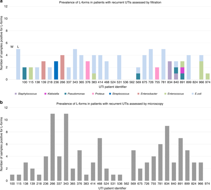 Possible Role Of L Form Switching In Recurrent Urinary Tract Infection Nature Communications