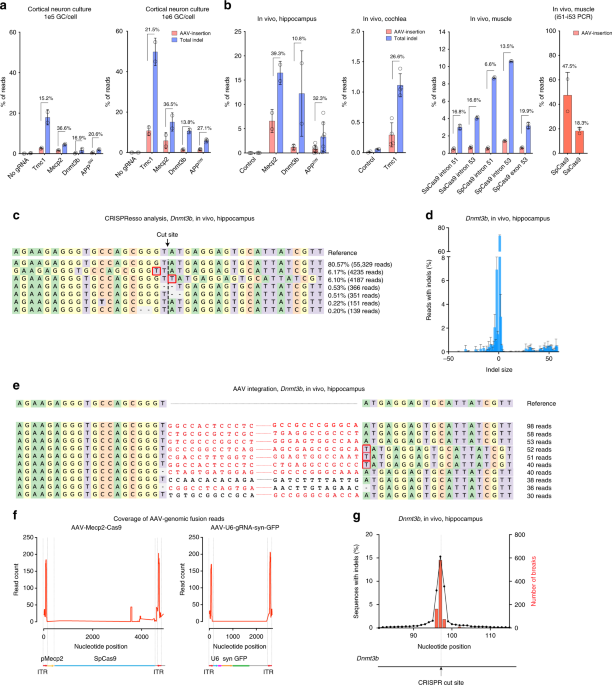 High Levels Of Aav Vector Integration Into Crispr Induced Dna