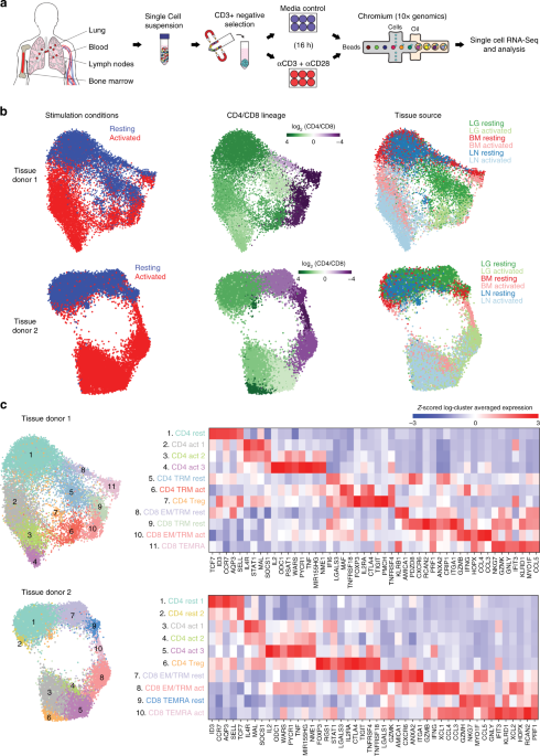 Single-cell transcriptomics of human T cells reveals tissue and activation signatures in health and disease