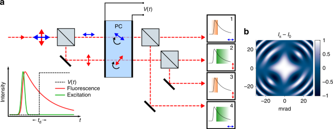 Electro Optic Imaging Enables Efficient Wide Field Fluorescence Lifetime Microscopy Nature Communications