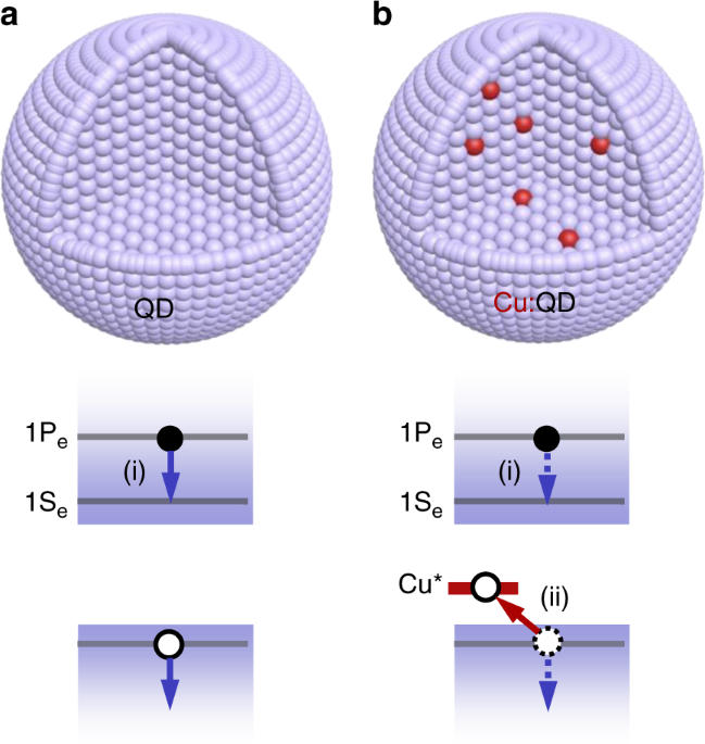 Mini Dots  Heat Transfer Source