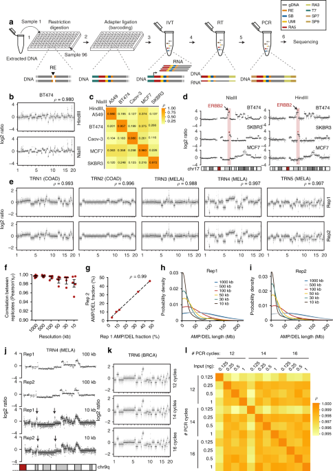 dna sequencing libraries from low input