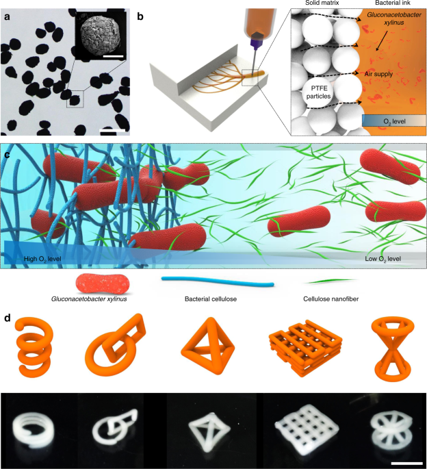 Solid matrix-assisted printing for three-dimensional structuring