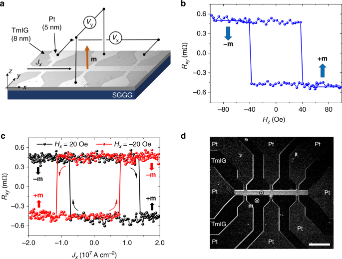 High Speed Domain Wall Racetracks In A Magnetic Insulator Nature Communications