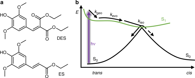 symmetry driven and nature UV filter | Nature Communications