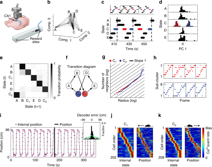 Revealing Neural Correlates Of Behavior Without Behavioral Measurements Nature Communications