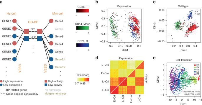 Biological process activity transformation of single cell gene expression  for cross-species alignment | Nature Communications