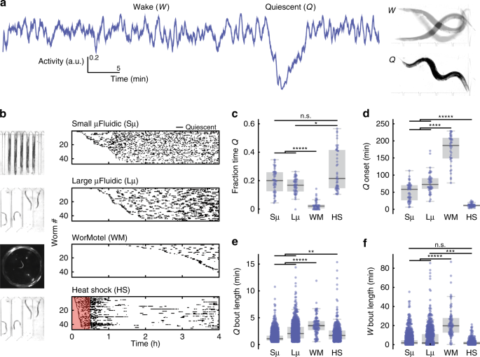 A Microfluidic Induced C Elegans Sleep State Nature Communications