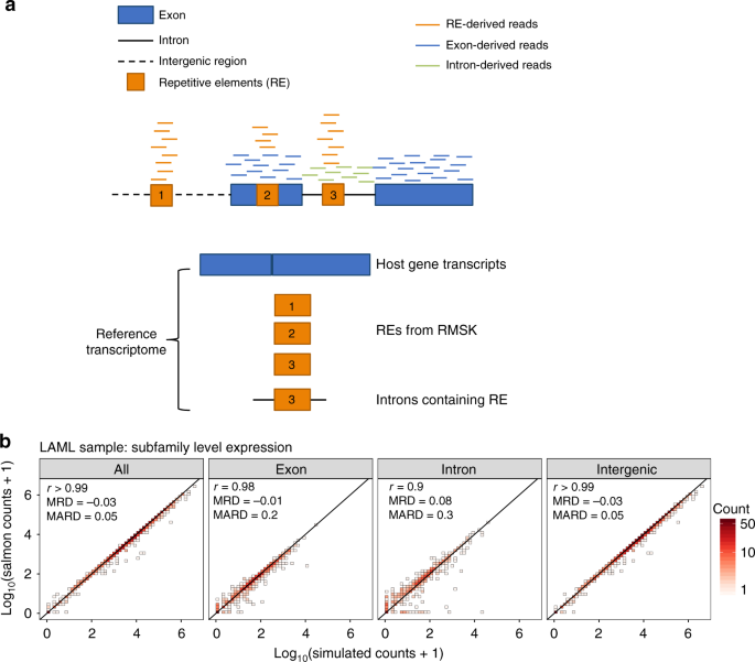 Transposable Element Expression In Tumors Is Associated With Immune Infiltration And Increased Antigenicity Nature Communications Transposable Element Expression In Tumors Is Associated With Immune Infiltration And Increased Antigenicity Nature Communications
