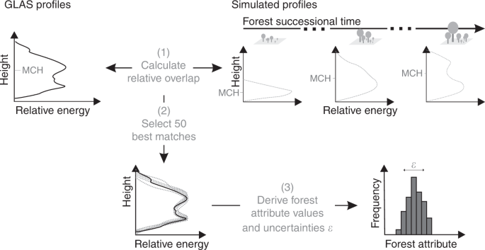 From small-scale forest structure to Amazon-wide carbon estimates | Nature  Communications