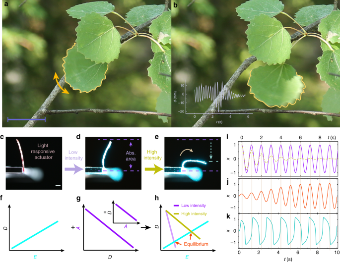 Light-fuelled freestyle self-oscillators