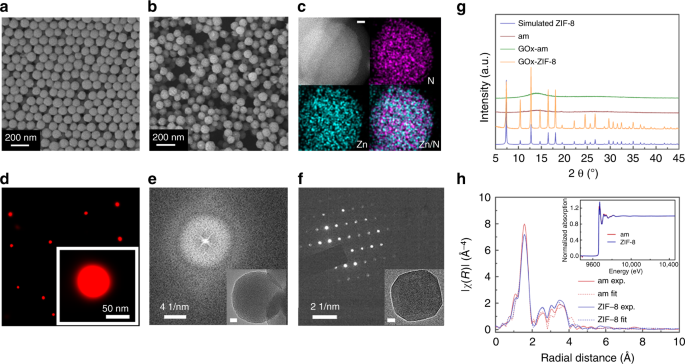 Packaging And Delivering Enzymes By Amorphous Metal Organic Frameworks Nature Communications