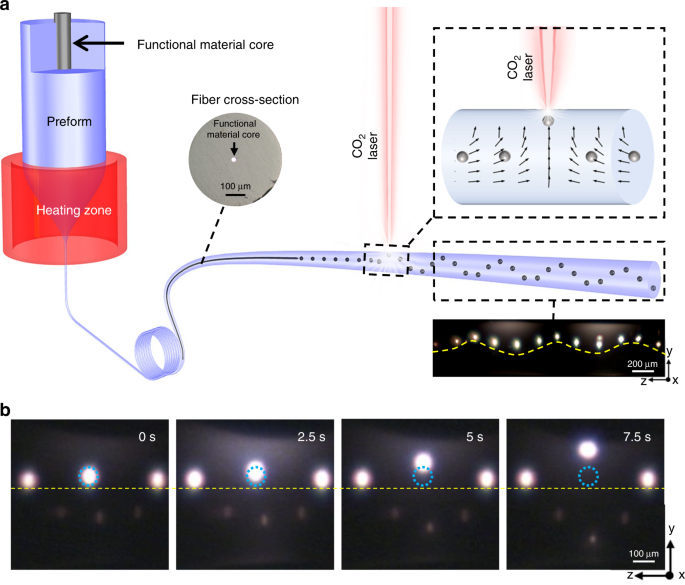In-fibre particle manipulation and device assembly via laser induced  thermocapillary convection | Nature Communications