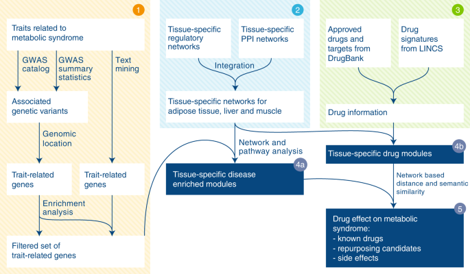 A network-based approach to identify deregulated pathways and drug effects  in metabolic syndrome | Nature Communications