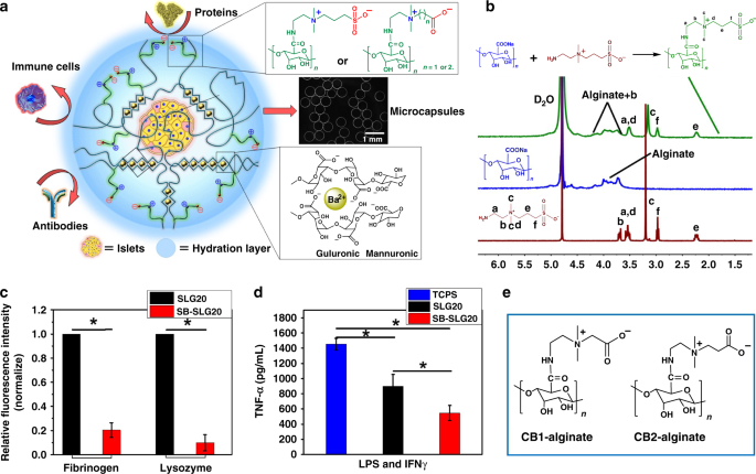 Zwitterionically modified alginates mitigate cellular overgrowth for cell  encapsulation | Nature Communications