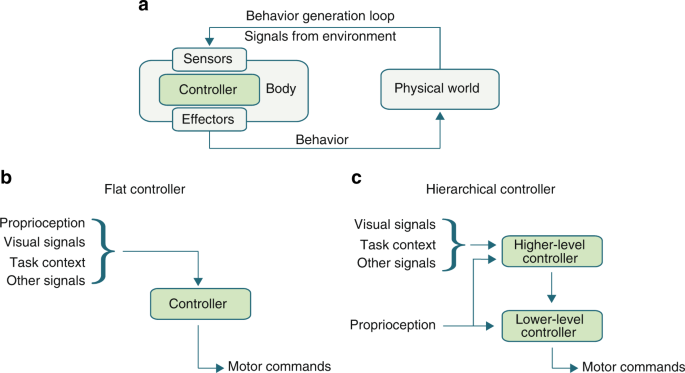 Hierarchical motor control in mammals and machines | Nature Communications