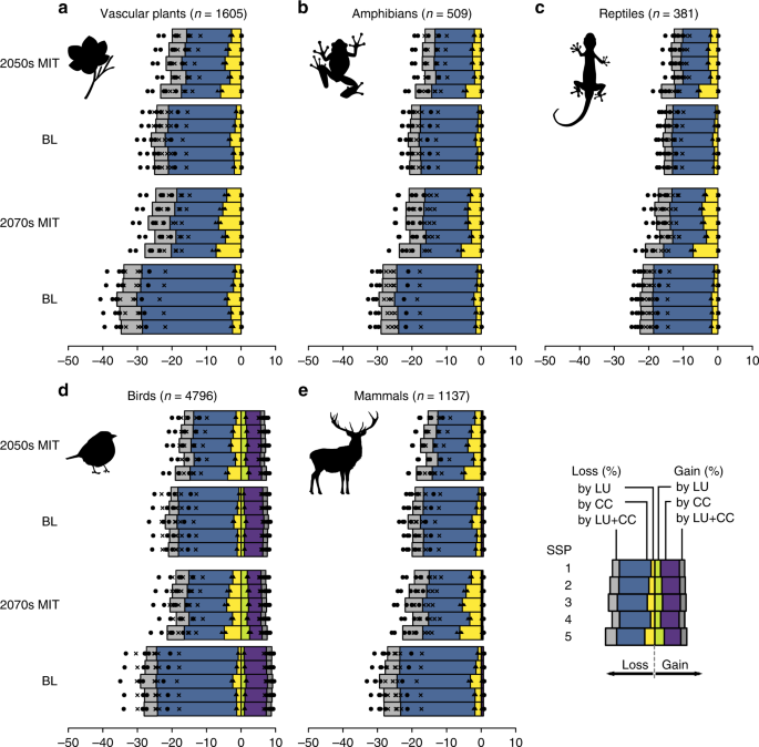 Predicting the Effect of the Removal of a Keystone Species on Biodiversity  Practice, Biology Practice Problems