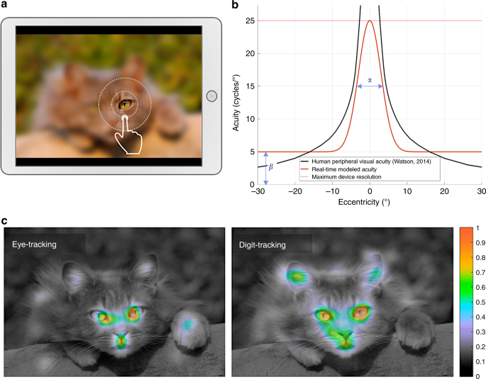 Digit-tracking as a new tactile interface for visual perception analysis | Nature Communications Digit-tracking as a new tactile interface for visual perception analysis | Nature Communications
