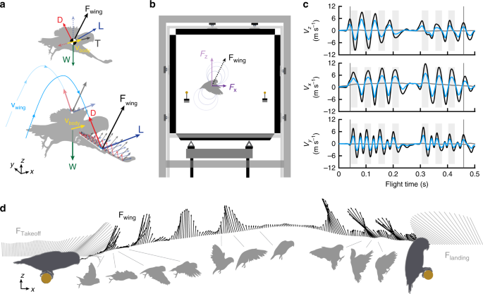 Birds repurpose the role of drag and lift to take off and land | Nature  Communications