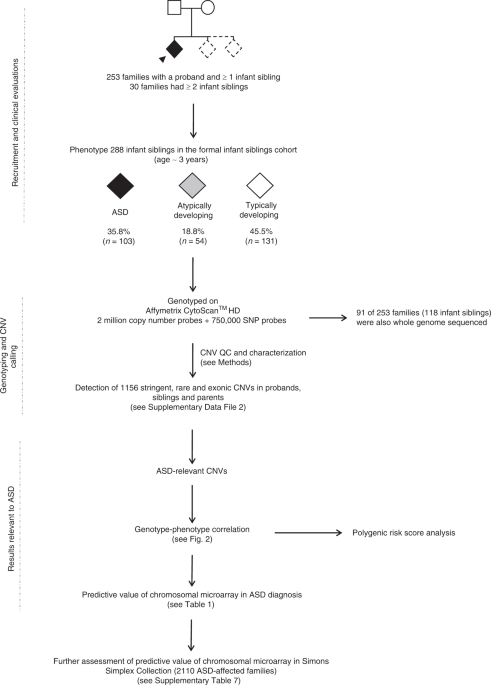 Predictive Impact Of Rare Genomic Copy Number Variations In Siblings Of Individuals With Autism Spectrum Disorders Nature Communications