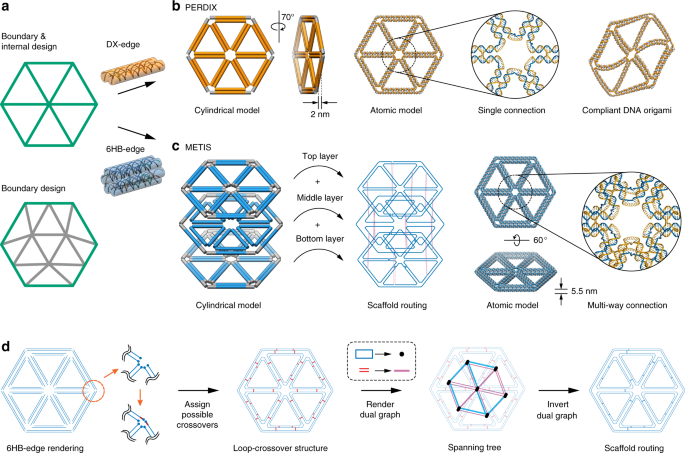 Automated sequence design of 2D wireframe DNA origami with honeycomb edges  | Nature Communications