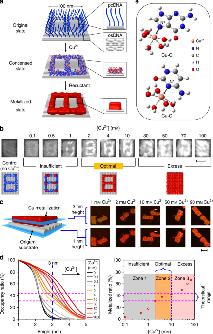 Programming Dna Origami Patterning With Non Canonical Dna Based Metallization Reactions Nature Communications