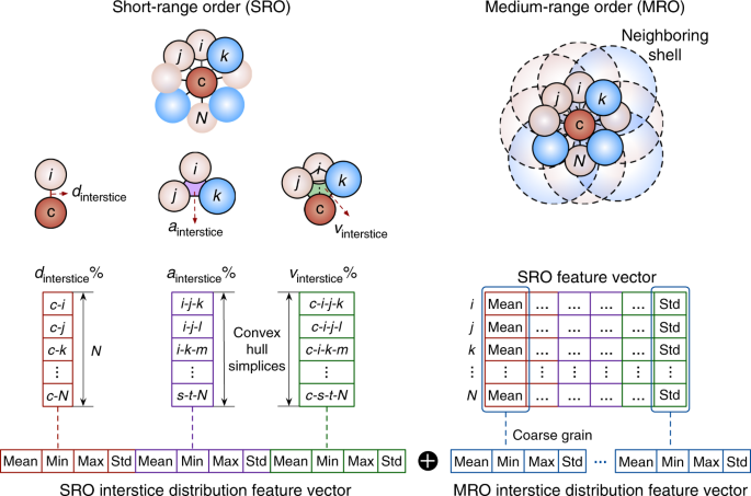 A shell dataset, for shell features extraction and recognition