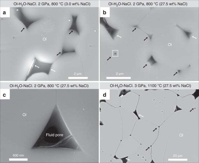 Saline Aqueous Fluid Circulation In Mantle Wedge Inferred From Olivine Wetting Properties Nature Communications