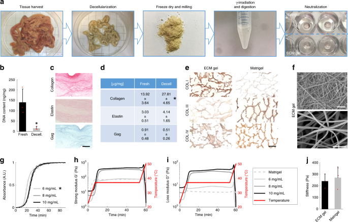Extracellular matrix hydrogel derived from decellularized tissues enables  endodermal organoid culture | Nature Communications
