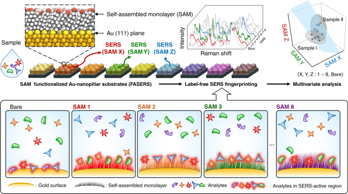 Surface enhanced Raman scattering artificial nose for high dimensionality  fingerprinting | Nature Communications