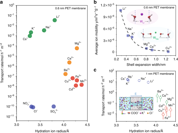 Politistation Produktivitet Trivial Design principles of ion selective nanostructured membranes for the  extraction of lithium ions | Nature Communications