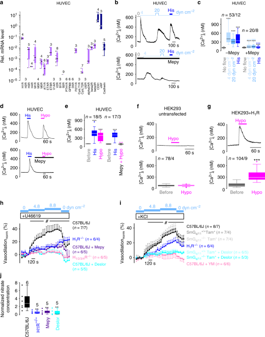 Helix 8 Is The Essential Structural Motif Of Mechanosensitive Gpcrs Nature Communications