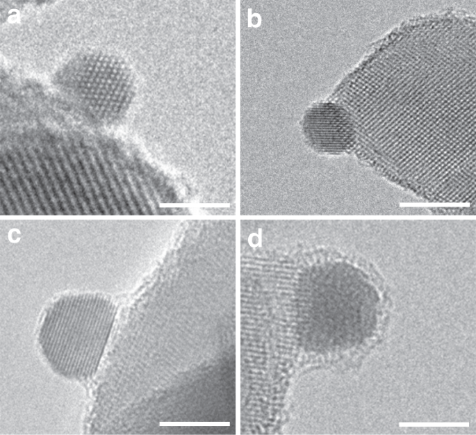 Ultrastable Au nanoparticles on titania through an encapsulation strategy  under oxidative atmosphere | Nature Communications