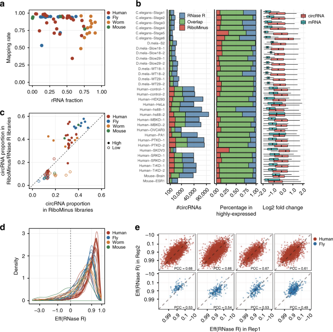 Accurate Quantification Of Circular Rnas Identifies Extensive Circular Isoform Switching Events Nature Communications