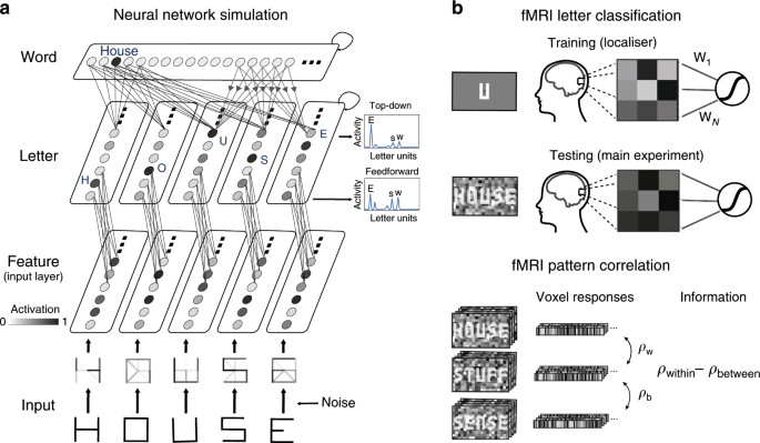 Word contexts enhance the neural representation of individual letters in  early visual cortex